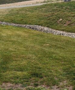 MaxPower 561739B 2-Blade Set for 46" Cut Craftsman, Husqvarna, Poulan Replaces 405380, 532-405380, PP21011,Black 29 91iE0MXoIdL