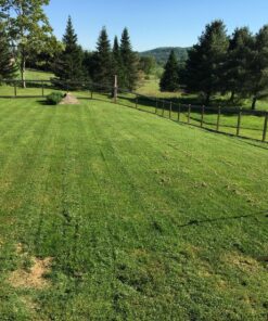 Great States 415-16 16-Inch Reel Mower Standard Full Feature Lawn Mower with T-Style Handle and Heat Treated Blades 16-Inch, 5-Blade Reel Only 50 91iFuMa 9yL