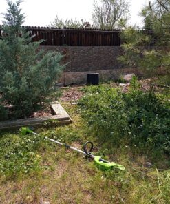 Greenworks 40V 12" Cordless String Trimmer, 2.0Ah Battery and Charger Included 12" Trimmer (2.0Ah) 39 91iZDCu42VL