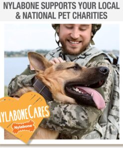 Nylabone Healthy Edibles All-Natural Long Lasting Bacon Flavor Chew Treats 1 count pack of 3 Bacon Small/Regular 3 Bacon Dog Treats 3 Count (Pack of 1) 23 91ig6R1ucjL