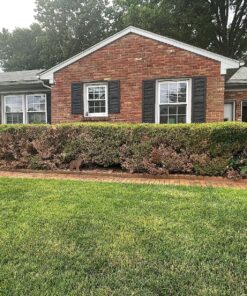 Lawnlift Ultra Concentrated (Green) Grass Paint 16oz. = 1.375 Gallons of Product. 45 91ikRO3ZexL