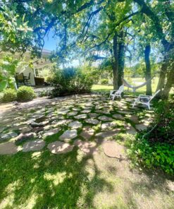 Jonathan Green (10622) Black Beauty Dense Shade Grass Seed - Cool Season Lawn Seed (1 lb) 1 lb 27 91iwE7EBbAL