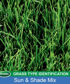 Scotts Turf Builder Grass Seed Sun & Shade Mix, Grows in Extreme Conditions & Spreads for a Durable Lawn, 7 lbs. 1 Pack 7 lb. 48 91j05iIekPL 1