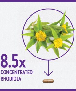 New Chapter Rhodiola Force 300mg with Potent Vegan Rhodiola for Mental Focus & Stamina, Endurance + Mood Support + Stress Adaptogen + Non-GMO Ingredients - 30 Count 300mg - 30ct Vegetarian Capsule 12 91jBsX9NRjL
