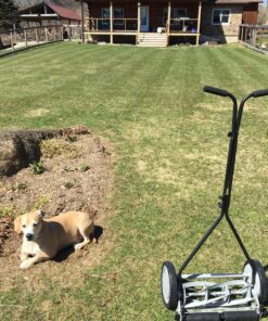 Great States 415-16 16-Inch Reel Mower Standard Full Feature Lawn Mower with T-Style Handle and Heat Treated Blades 16-Inch, 5-Blade Reel Only 51 91jC4yVWPvL