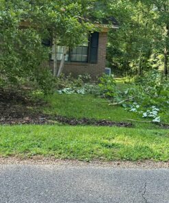 Mini Chainsaw 6-Inch Battery Powered - Cordless Electric Handheld Chainsaw with 2 Rechargeable Batteries - 21V Small Power Chain Saws Battery Operated for Tree Trimming Wood Cutting 34 91jSxaKmLeL