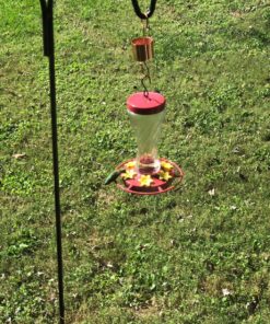 Skinny Ant Moat with Guard for Hummingbird Feeders - Gets Rid of Ants Fast in Nectar Feeder. All Natural & No Chemicals Needed. 47 91jdzdImXeL