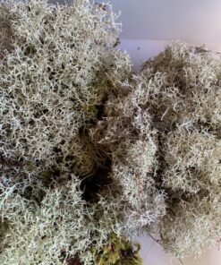 Vegetable Glycerin - Half Gallon (64oz)- All Natural, USP Grade - Premium Quality Liquid Glycerin, Excellent Emollient Qualities, Amazing Skin and Hair Benefits, DIY Beauty Products. 19 91jnJwQmzgL