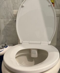 Delta Faucet Morgan Elongated Slow-Close White Toilet Seat with Non-Slip Seat Bumpers, White 811903-WH Slow Close 44 91k0pmVOmzL