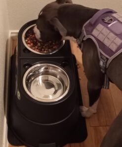 OurPets Comfort Diner Elevated Dog Food Dish (Bowls Available in 4 inches, 8 inches and 12 inches for Large , Medium and Small Dogs), Black, 12-inch 47 91k9sfnoFpL