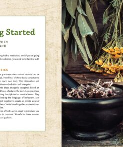 The Modern Herbal Dispensatory: A Medicine-Making Guide 41 91kNmQktqL