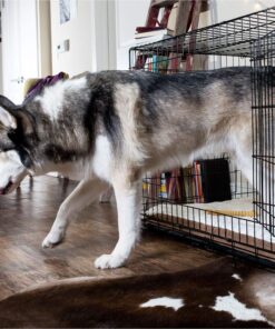 Dog Crates for Extra Large Dogs - XXL Dog Crate 48" Pet Cage Double-Door Best for Big Pets - Wire Metal Kennel Cage & Tray - in-Door Foldable & Portable for Animal Out-Door Travel 48.0"L x 29.0"W x 32.0"H 23 91kPQyIjWqL 1