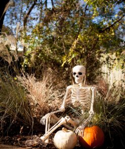 Crazy Bonez Pose-N-Stay Skeleton Original Pose-N-Stay 37 91kRFk1WCOL