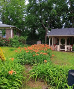 Worx String Trimmer Cordless & Edger 20V 10" - 12" Weed Trimmer PowerShare (Battery & Charger Included) WG154 30 91kY9MADoOL