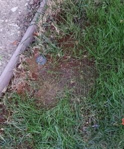 Scotts EZ Seed Patch & Repair Sun and Shade Mulch, Grass Seed, Fertilizer Combination for Bare Spots and Repair, 4 lb 3.75 lb. 1 Pack 46 91l8FeOKMkL