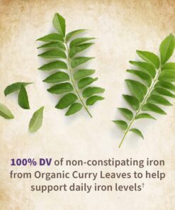 Women’s Prenatal Multivitamin with Vitamin D3, B6, B12, C & Iron, Folate for Energy & Healthy Fetal Development – Garden of Life Organics – Organic, Non-GMO, Gluten-Free, Vegan, 30 Day Supply 90 Count (Pack of 1) 21 91lBZvZzFoL 1