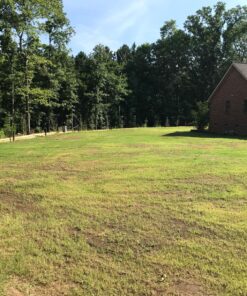 Scotts Turf Builder Grass Seed Bermudagrass, Mix for Full Sun, Built to Stand Up to Heat & Drought, 5 lbs. 5 lb. 97 91lFoD6eALL