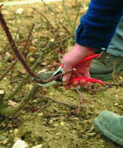 FELCO F-2 068780 Classic Manual Hand Pruner, F 2 26 91lGRYDRVSL