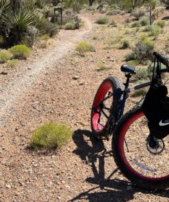 Mongoose Dolomite Mens and Womens Fat Tire Mountain Bike, 26-Inch Wheels, 4-Inch Wide Knobby Tires, 7-Speed, Adult Steel Frame, Front and Rear Brakes Navy Blue 17-Inch/Medium 31 91lGcrmMxQL