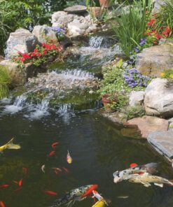 TetraPond Koi Vibrance, Soft Sticks, Easy to Digest Floating Pond Food, 5.18 lbs 26 91lL49a9ZdL 1