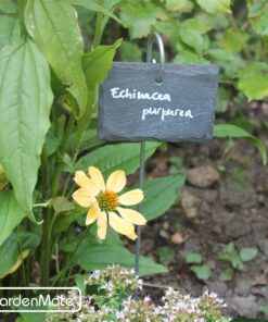 GardenMate 10-Pack Natural Style Slate Plant Labels (4"x 2 3/4") Hanging from a Stainless Steel Metal Rod (22") 10-Pack 4"x 2 3/4" Labels with 22" Metal Rod 25 91lNuRTCQIL