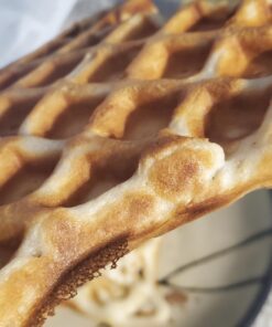 The Texas Waffle Maker 33 91lZ3TYqlAL