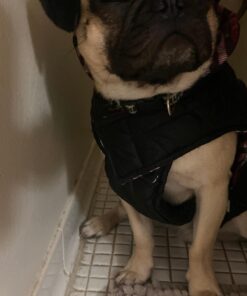 Kuoser Cozy Waterproof Windproof Reversible British Style Plaid Dog Vest Winter Coat Warm Dog Apparel for Cold Weather Dog Jacket for Small Medium Large Dogs with Furry Collar (XS - 3XL),Red M Medium (Pack of 1) Red 33 91lhoj0riQL