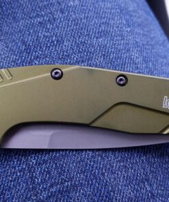 Kershaw Leek BlackWash Folding Pocketknife, 3" 14C28N Stainless Steel Blade, Assisted Opening Folding EDC 51 91loHCC1VrL