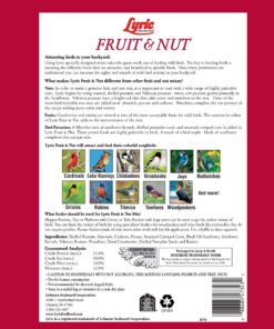 Lyric Fruit and Nut Wild Bird Seed - High Energy Wild Bird Food Mix - Attracts Woodpeckers, Chickadees & Other Songbirds - 5 lb bag 5.00 Pound (Pack of 1) 26 91m2FPRUDXL