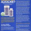 Alkaline Body Balance Informational 12-Page Booklet with Food Chart and Free pH Test Strip 45 91m37hevrpL