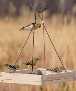 Alternative view of Perky Pet 50178 Hanging Tray Bird Feeder 1
