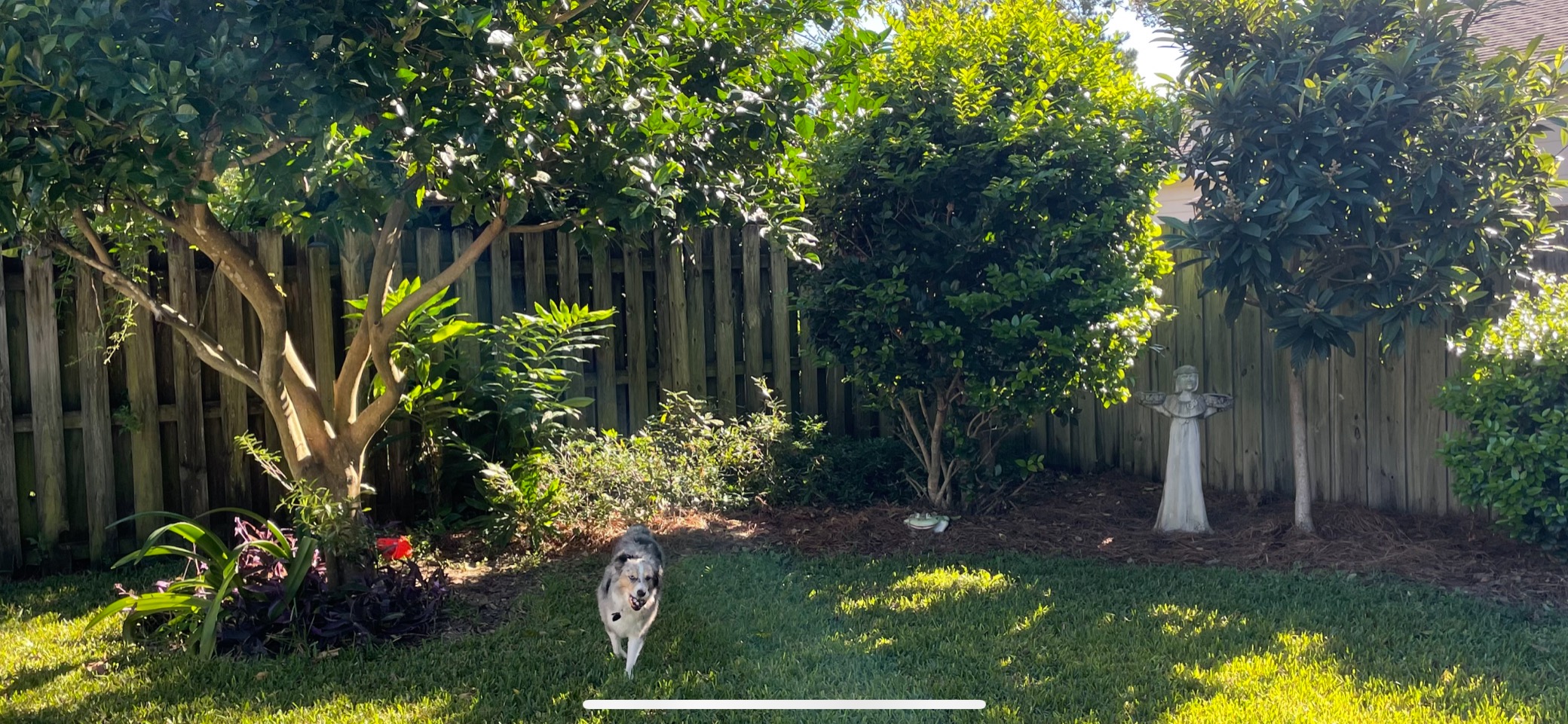 Best Choice Products 9ft Adjustable Mosquito Net for Umbrellas 7.5-11ft, Bug Screen Patio Umbrella Accessory for Outdoor Market Offset Cantilever w/Polyester Mesh Net, Zipper Door, Fillable Base 12 Best Choice Products 9ft Adjustable Mosquito Net for Umbrellas 7.5-11ft, Bug Screen Patio Umbrella Accessory for Outdoor Market Offset Cantilever w/Polyester Mesh Net, Zipper Door, Fillable Base - Image 12