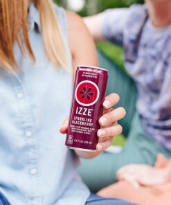 IZZE Sparkling Juice, 4 Flavor, Variety Pack, 8.4 Fl Oz Can (Pack of 24) Blackberry, Clementine, Apple, Grapefruit Classic Variety Pack 8.4 Fl Oz (Pack of 24) 22 91mJy7unj1L