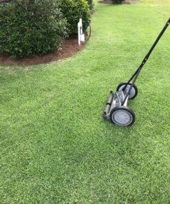 Great States 415-16 16-Inch Reel Mower Standard Full Feature Lawn Mower with T-Style Handle and Heat Treated Blades 16-Inch, 5-Blade Reel Only 48 91mOs3ucuL