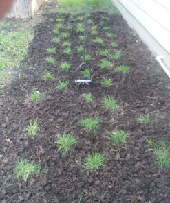 Yard Butler Twist Tiller garden cultivator & hand tiller heavy duty garden claw hand tool - ITNT-4 24 91mPn4m0e5L