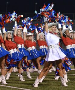 Sweethearts of the Gridiron DVD September 6, 2016 7 91mVrfVjbL