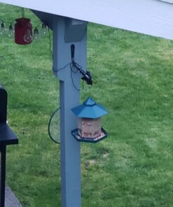 Ogrmar Hanging Gazebo Wild Bird Feeder -Perfect for Garden Decoration and Bird Watching for Bird Lover and Kids (Green) 29 91mWoBrlF8L