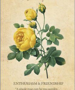 Botanical Inspirations Deck & Book Set 42 91mfG8ZQZTL