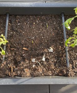 Keter Easy Grow 31.7 Gallon Raised Garden Bed with Self Watering Planter Box and Drainage Plug-Perfect for Growing Fresh Vegetables, Flowers and Herbs Graphite 40 91mggf3gOYL