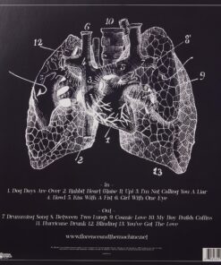 Alternative view of Lungs Lungs