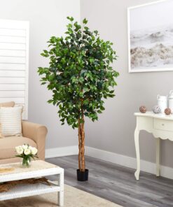 Nearly Natural 6ft. Ficus Artificial Trees, 72in, Green 72 in 24 91n1q3bgVML