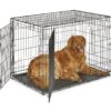 New World Pet Products Newly Enhanced Double Door Dog Crate, Includes Leak-Proof Pan, Floor Protecting Feet, & New Patented Features 42.0"L x 28.0"W x 31.0"H 30 91n2IldhR3L