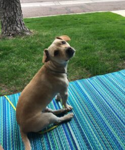Fab Habitat Outdoor Rug - Waterproof, Fade Resistant, Crease-Free - Premium Recycled Plastic - Striped - Large Patio, Deck, Sunroom, Camping, RV - Cancun - Turquoise & Moss Green - 6 x 9 ft 6' x 9' Rectangular 43 91n2KaTKZ4L 1