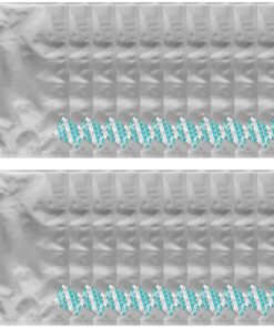 Dry-Packs 20-1 Gallon 10-Inch by 16-Inch Mylar Bags and 300cc Oxy-Sorb Oxygen Absorbers for Long Term Food Storage Preservation (MB10x16-300CC-20PK-ALT1), Silver (20+20S5) 8 91nTVkXZZsL