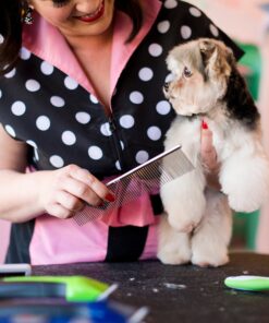 Andis 65730 Stainless-Steel Comb for Knots, Mats & Loose Hair Removal - Effective Dematting Tool, Comfortable, Lightweight, Portable & Safe for Dogs, Cats & Pets – Silver, 7-1/2-Inch 7 1/2" 17 91nXzniSwL 1