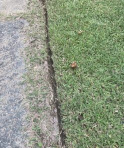 Worx Edger Lawn Tool, Electric Lawn Edger 12 Amp 7.5", Grass Edger & Trencher WG896 12-Amp 7.5" Electric Lawn Edger & Trencher 49 91ngKWFDDZL