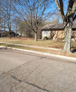 Scotts Turf Builder WinterGuard Fall Lawn Fertilizer for All Grass Types, 5,000 sq. ft., 12.5 lbs. 5,000 sq. ft. 40 91niXwiiQOL