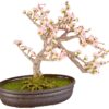 Nearly Natural 4764 15in. Cherry Blossom Bonsai Silk Tree , Pink 7 91nilo2aN5L