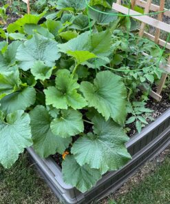 Lifetime 60069 Raised Garden Bed Kit, 4 by 4 Feet, Pack of 3 54 91nmiNcMhpL