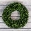 Boxwood Wreath - 16.5-Inch Round UV Resistant Artificial Spring, Summer, Fall, or Winter Wreath - Outdoor/Indoor Wreaths for Front Door by Pure Garden Round 16.5" 36 91ns8ZIsBL